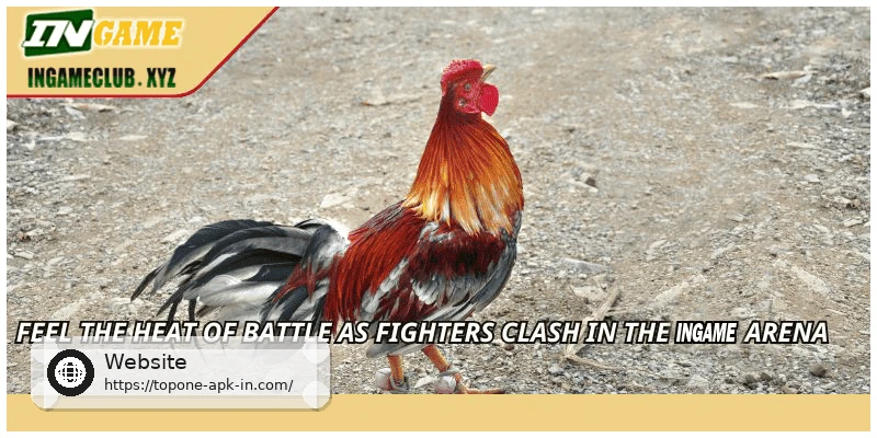 Feel the heat of battle as fighters clash in the TOPONE arena