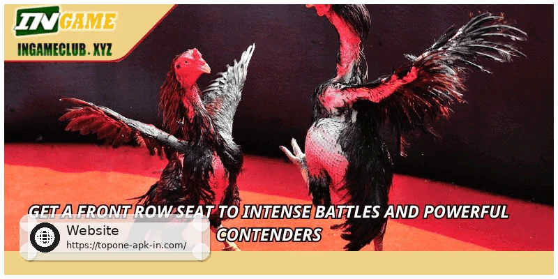 Get a front row seat to intense battles and powerful contenders