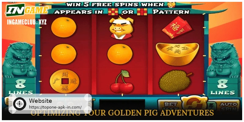 Optimizing Your Golden Pig Adventures